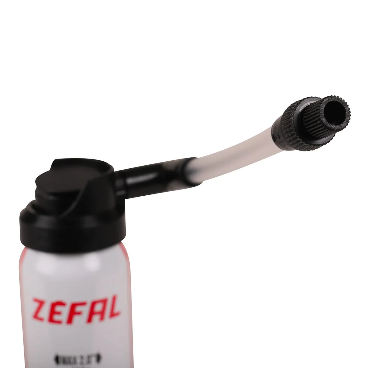 Vorschaubild 5